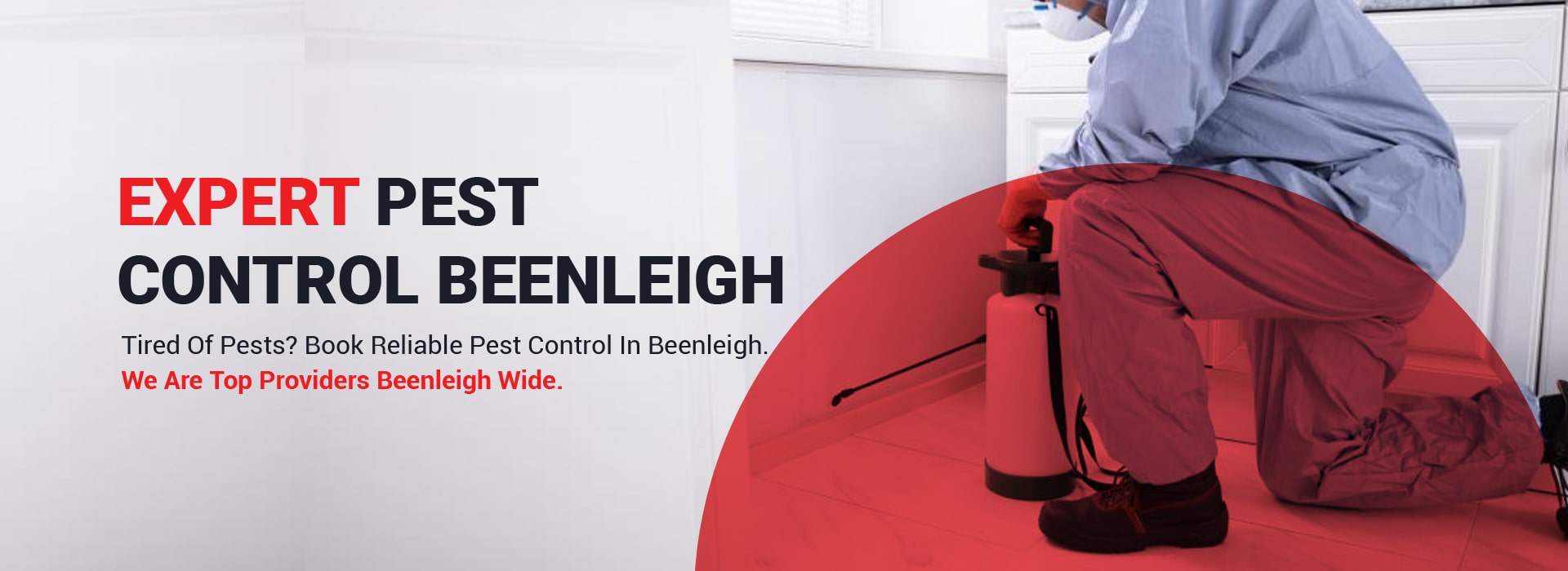 Pest Control Beenleigh